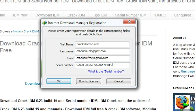 serial internet manager 6.28